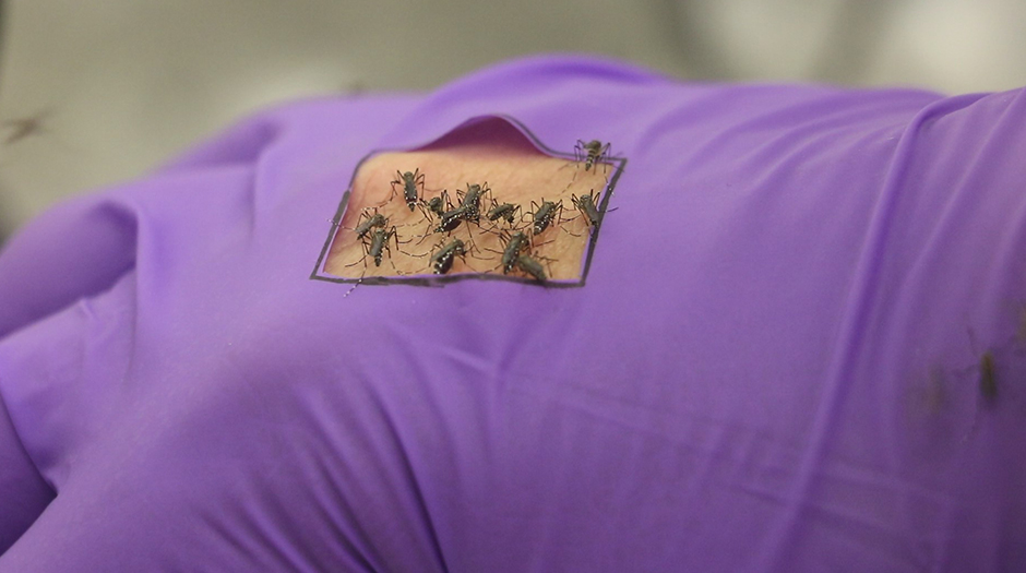 Graphene-Lined Clothes Can Be Used To Ward Off Mosquitos