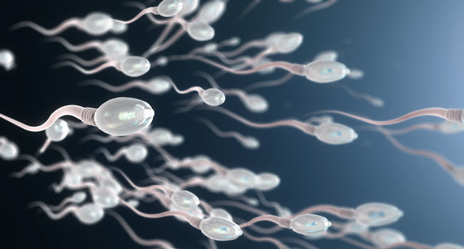 COVID-19 And Infertility – Men Freezing Their Sperm