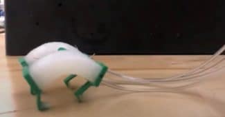 Soft-Bodied Robot LEAP Is Inspired From Cheetah