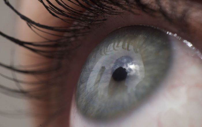 The ElectroChemical Eye Can Perform Better Than Human Eye