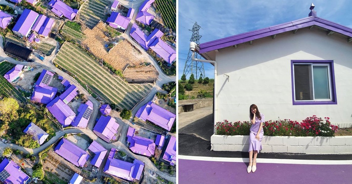 Purple Island Is South Korea's New Travel Sensation