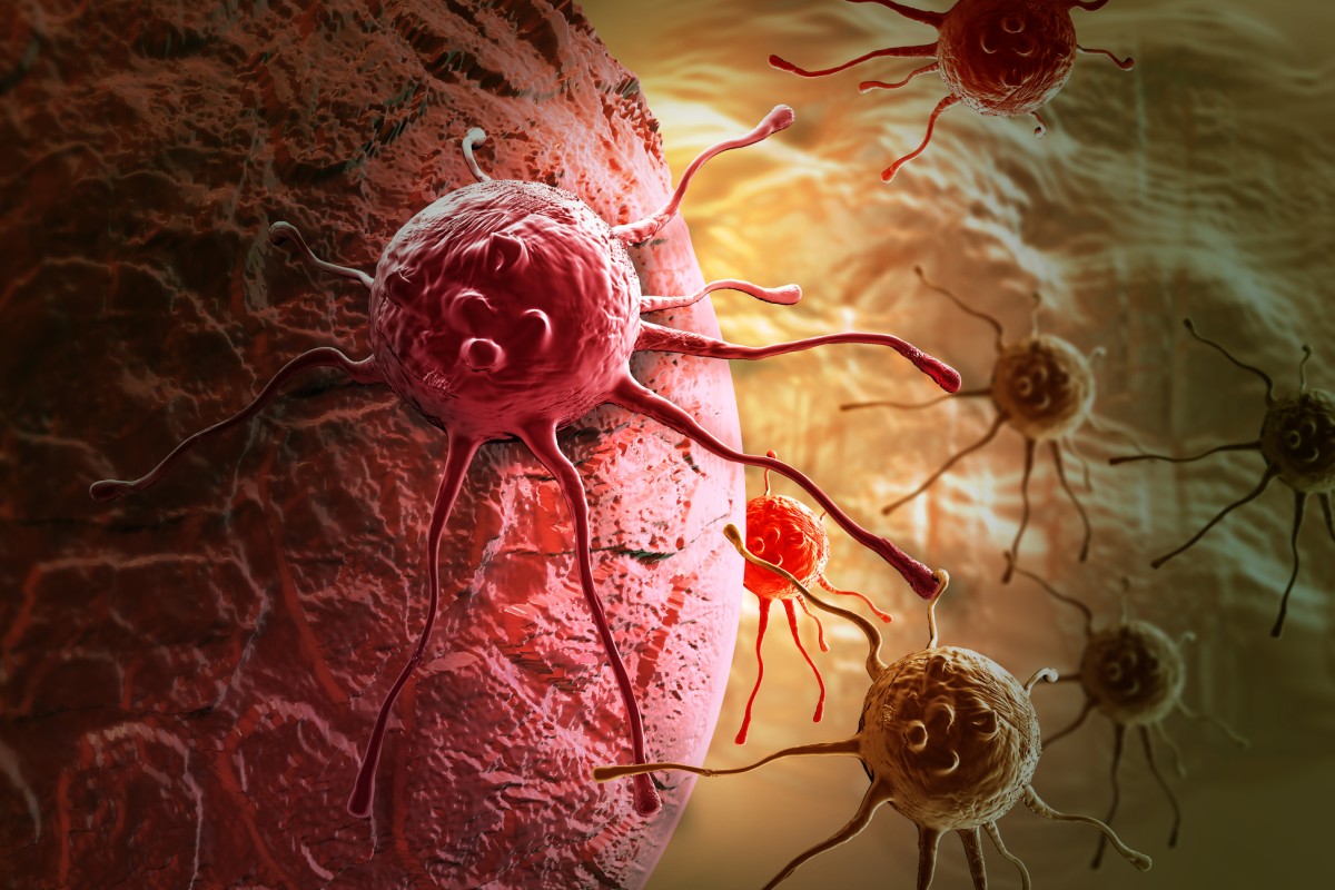 Novel Cancer Vaccine Passes Preclinical Tests, Moves To Phase 1 Human