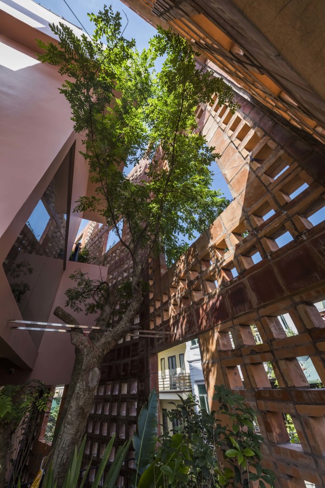 This Tree-Crammed House Stays Cool With out Even Requiring Air Conditioning
