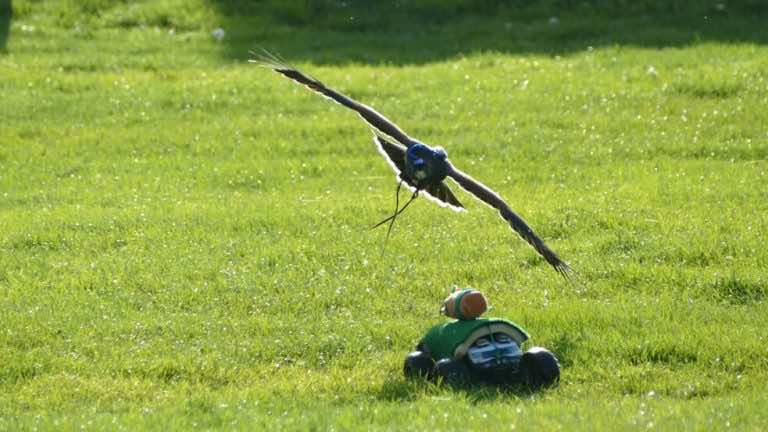 These New Robot Birds Could Soon Deliver Medicine And Fight