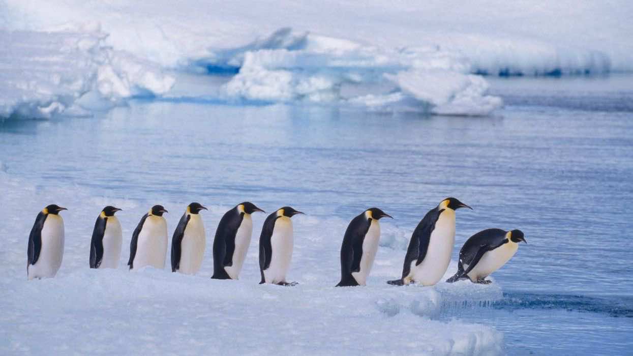 Experts Have Finally Decided On How Many Oceans There Are