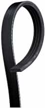 10 Best Serpentine Belts for Nissan Altima