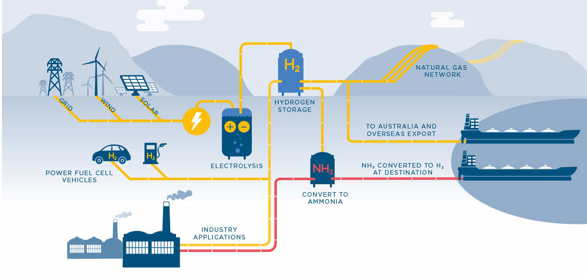 World s Biggest Green Hydrogen Project Launched In Western A