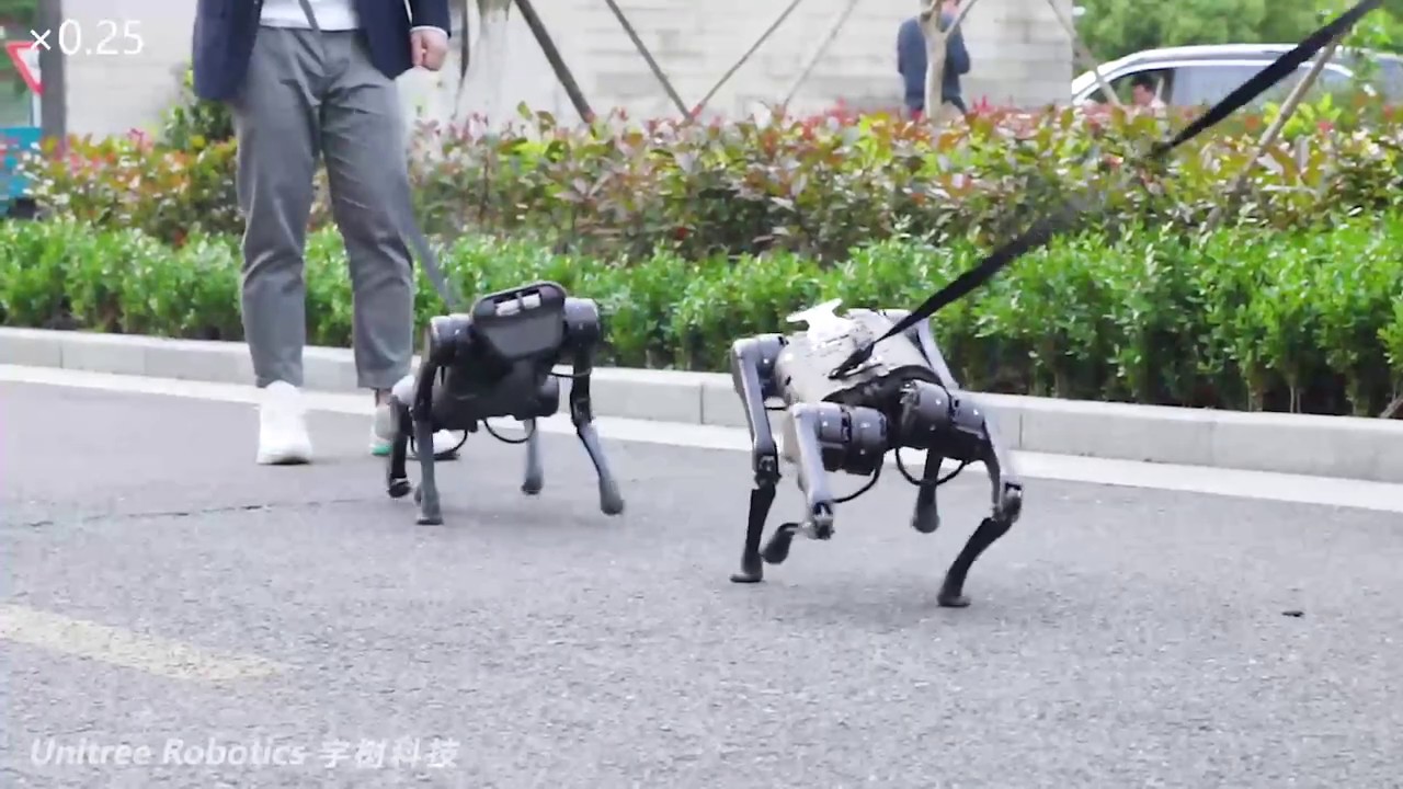 This New Electric Quadruped Robot By China Could Be The Larg