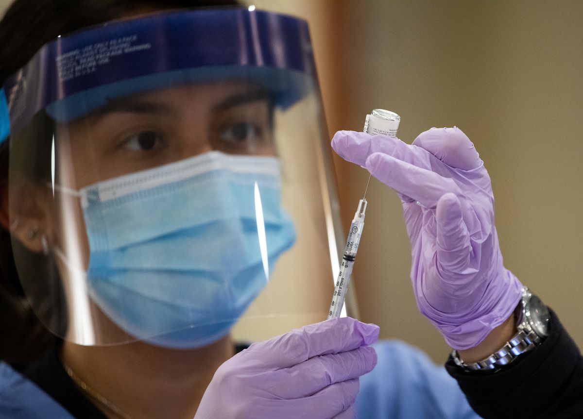 LabGrown Hair Cells To Help Against Baldness Are On Their W