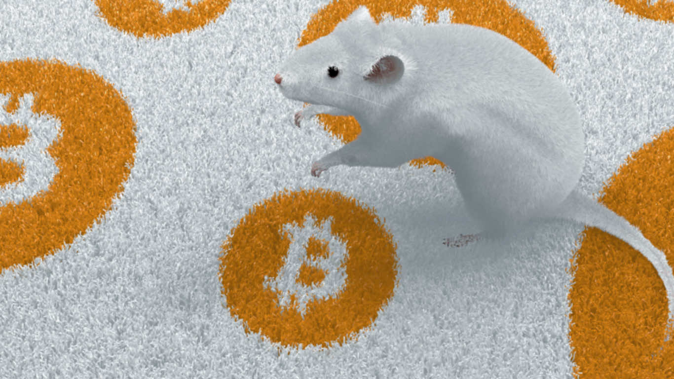 bitcoin in mouse dna
