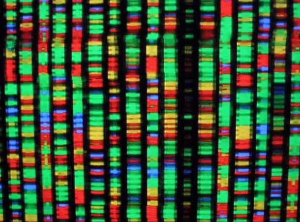 Scientists Have Mapped The Whole Human Genome For The Very F