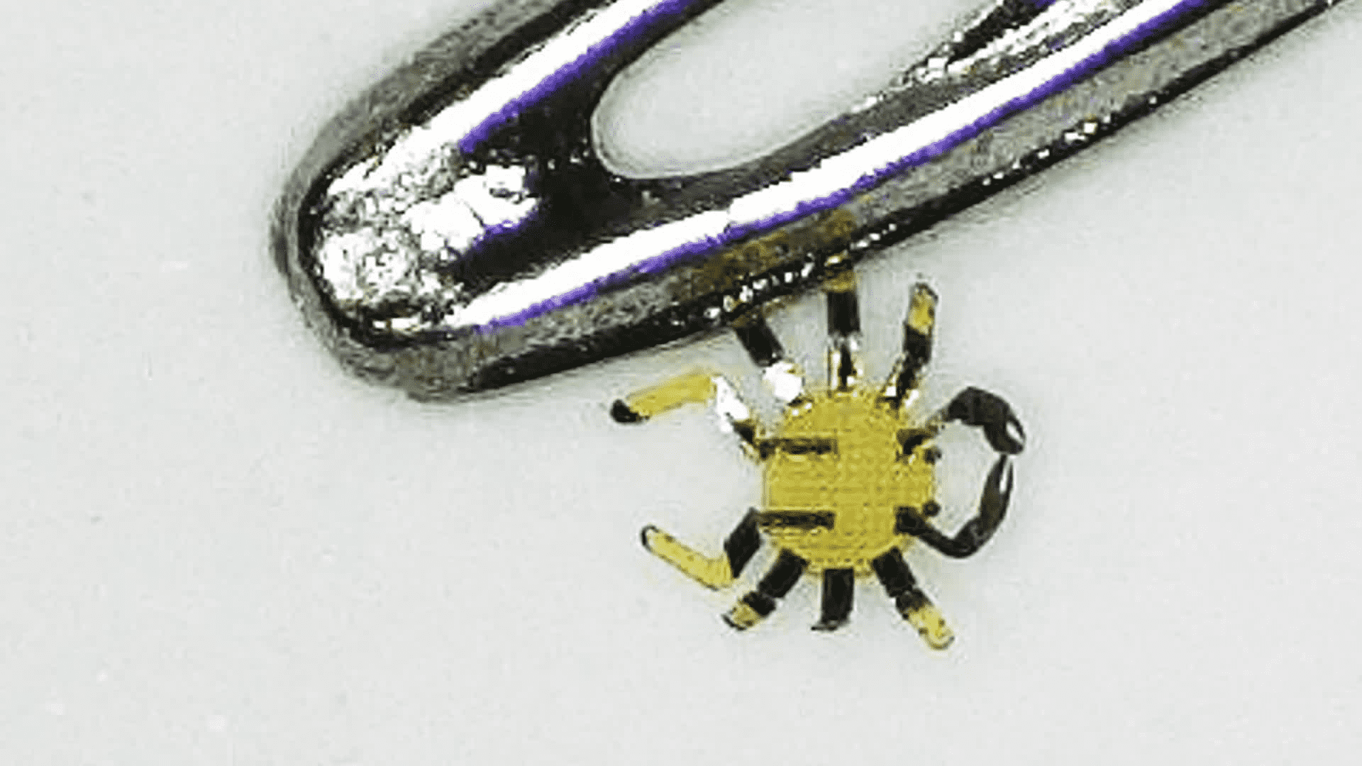 This Is The SmallestEver RemoteControlled Walking Robot