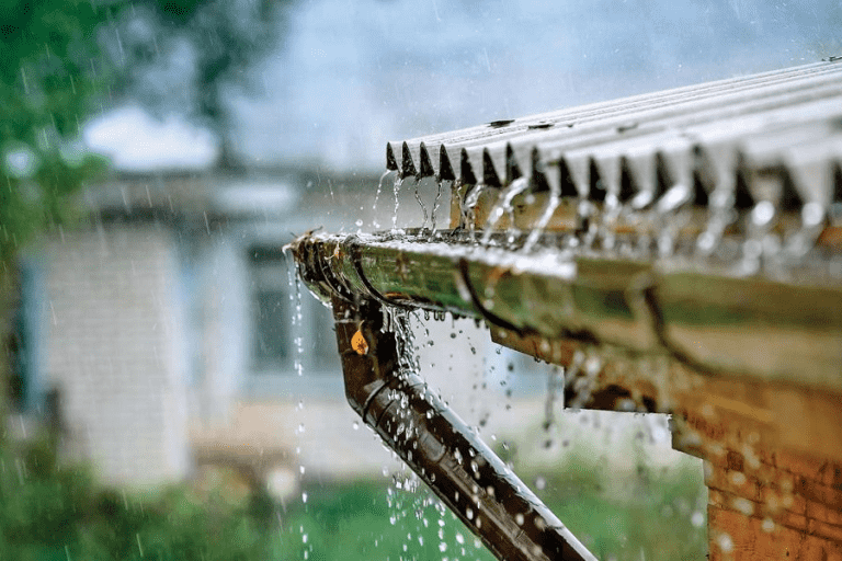 Rainwater Anywhere On Earth Is No Longer Safe To Drink - And