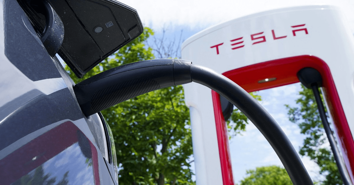 Tesla Investors Have Some Advice For Elon Musk Stop Wasting