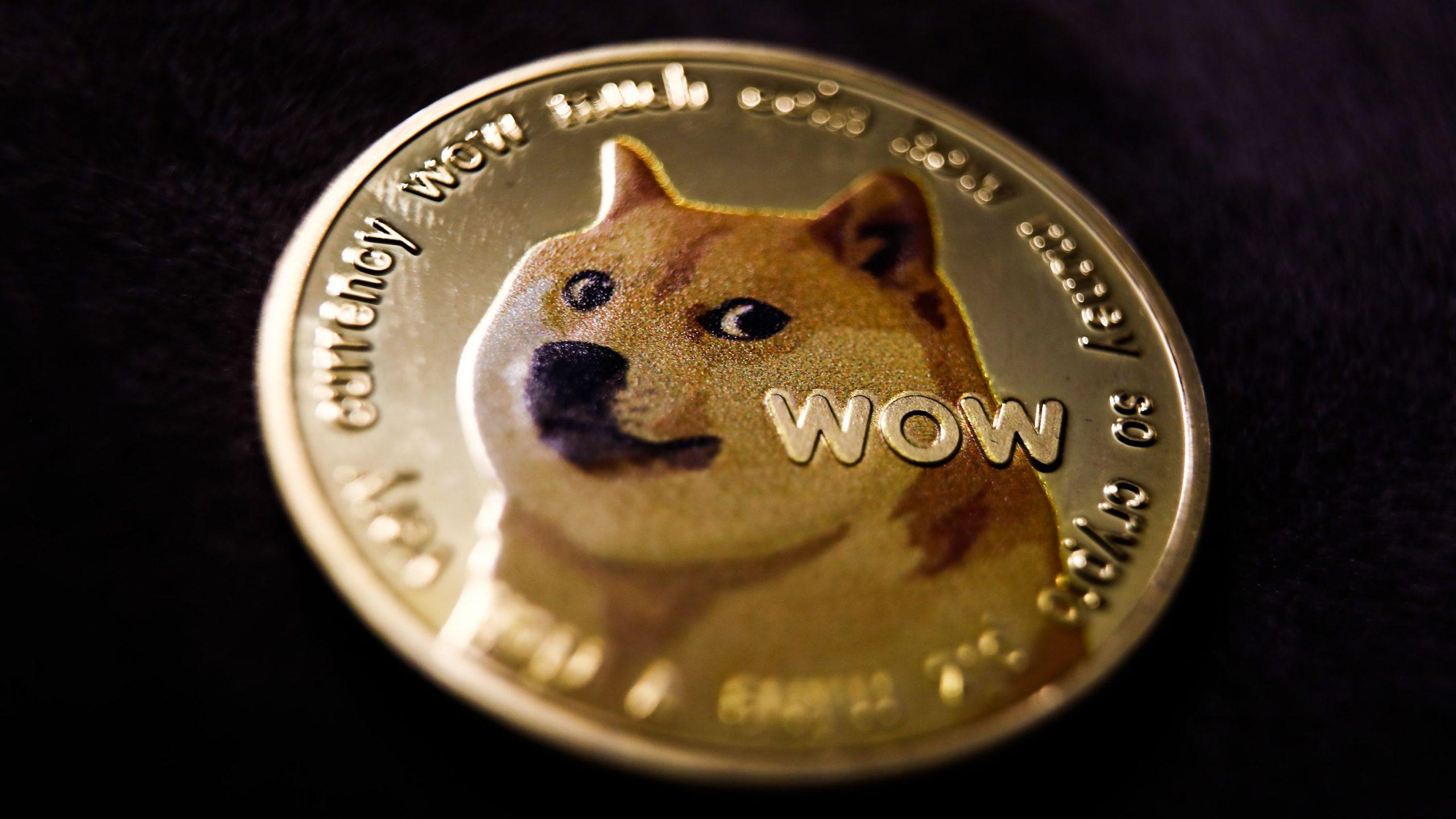 Elon Musk Just Replaced The Twitter Logo With Dogecoin