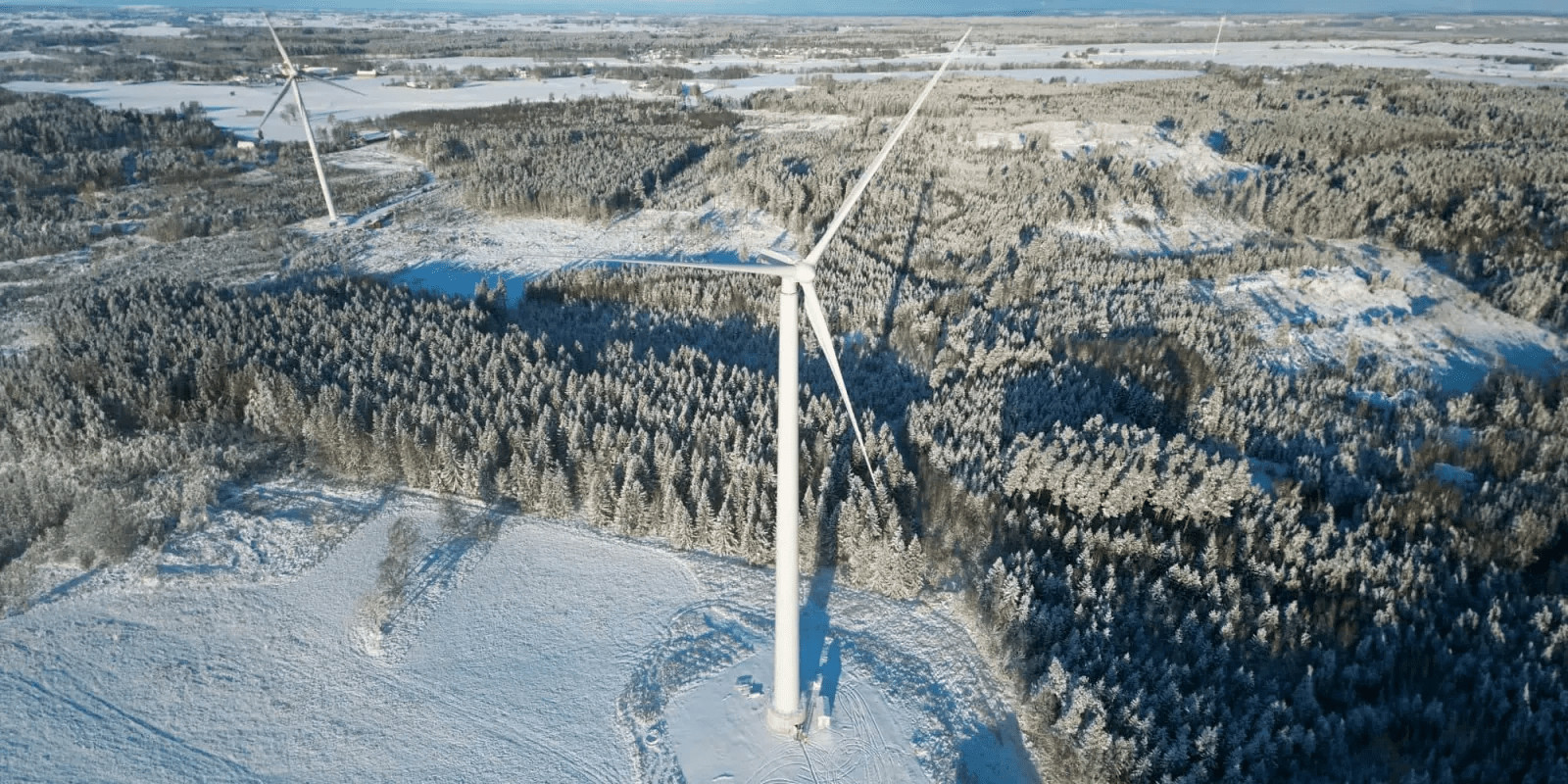 Sweden Just Built The World's Tallest Wooden Wind Turbine